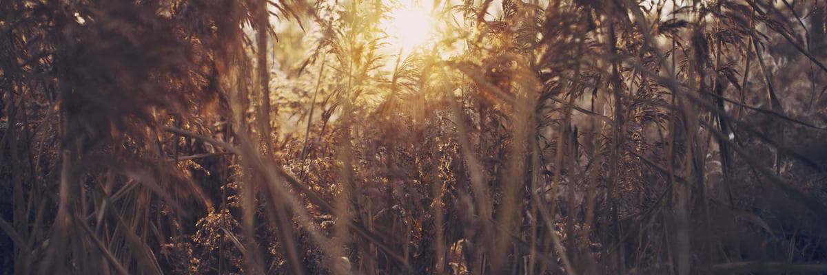 Jobs in Data Entry Jobs