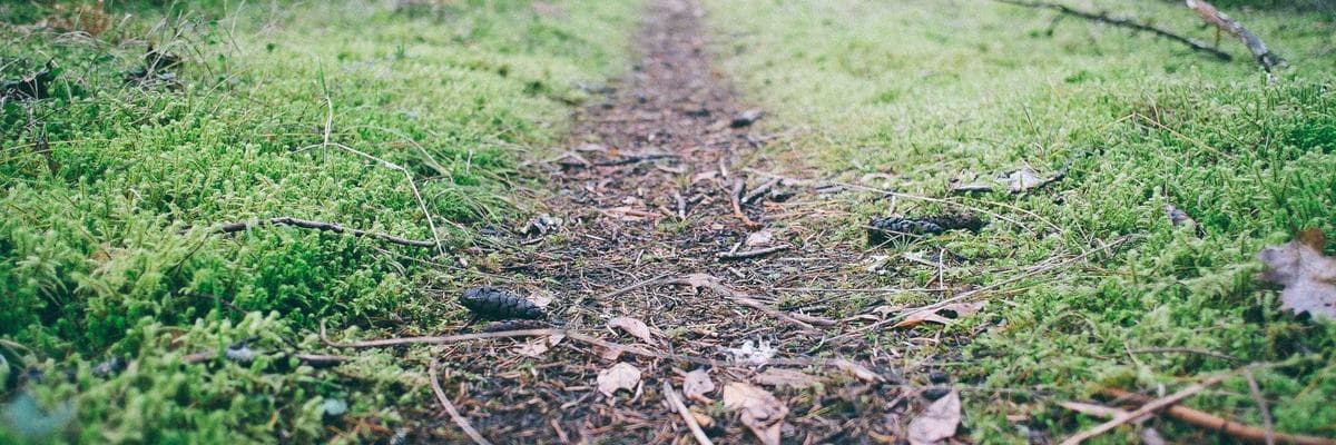 A view of Karimnagar