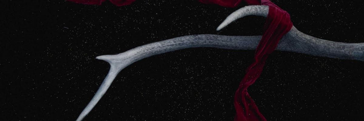 A view of Thoothukudi